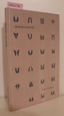 Debora Machè - Fields / Conditions Central Fine Arts New York 1999  BBK Stapelha