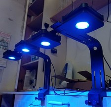 Lampade Led Lominie Pixie30 Acquario Marino