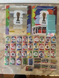 Panini WM / World Cup 2026 520 versch. Sticker Hardcover Silber Frankreich