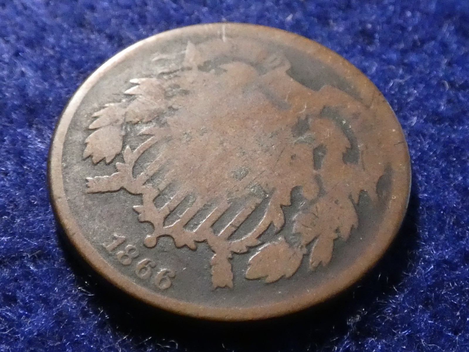 Picture 2 of 11
