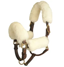  Merino Sheepskin Halter caver set of 4 
