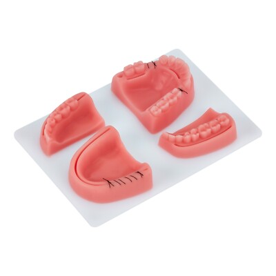 Zahnnahtpads | 4 wiederverwendbare Formen mit Wunden für realistische Nahtpraxis