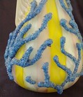 Bild 8 von 13