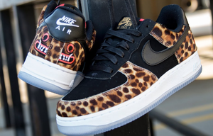 master jaguar x saner