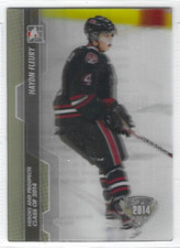 2013-14 ITG Heroes & Prospects #188 Class of 2014 3-D Haydn Fleury