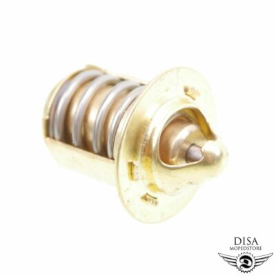 Thermostat für Gilera DNA Runner 50 125 180 FX FXR SP Purejet SMT RCR GSM