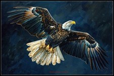 Bald Eagle in Flight - DIY Chart Counted Cross Stitch Patterns Needleworks DMC