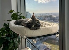 Purrfectly Cozy: Cat Window Perch, Window Cat Hammock, Cat Bed, Cat Window Seat