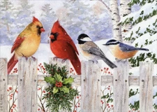 Birds on White Fence LPG Greetings Christmas Card