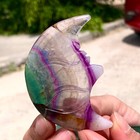 Foto 11 di 20