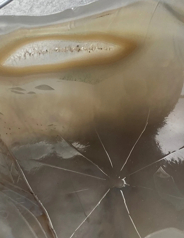 IMPRESIONANTE! Arandela de cepillo de diseño de loto tallado de ágata china de 1900  Foto 4 de 4