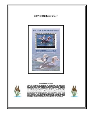 Part III: Mac's RW72B-RW80B 2005-2013 Color Mini sheet Duck Stamp Album