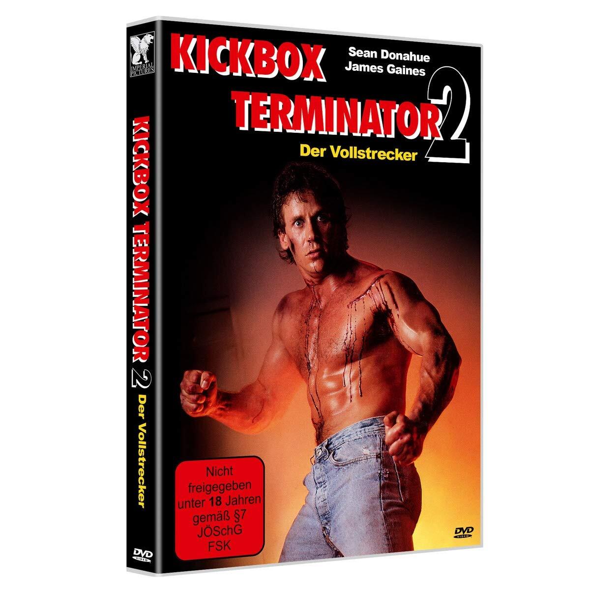 Kickbox Terminator 2 - Der Vollstrecker (DVD)
