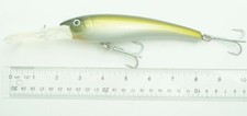 Almost Alive Deep Diving Plug Hard Bait for Trolling or Casting Green/Silver