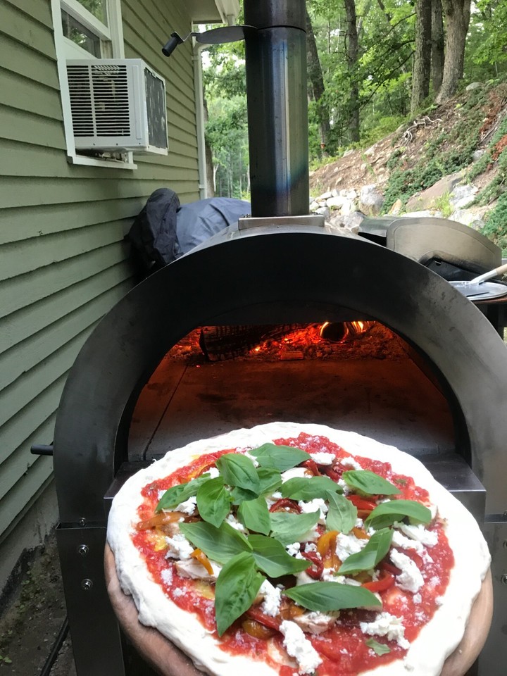 Professional Series Wood Burning Pizza oven, Italian pizza ovens, eBay