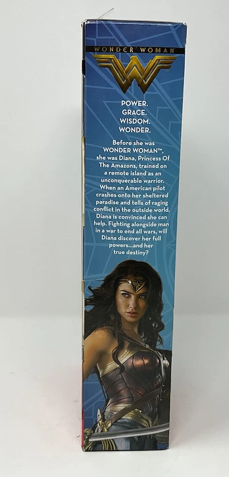 DC Comics Mujer Maravilla Diana Príncipe y Espada Oculta Figura de Acción Muñeca FDF36 Nuevo Foto 4 de 4