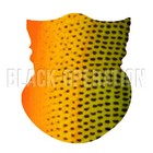Bild 176 von 223