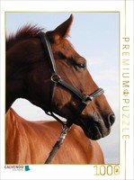 Calvendo Puzzle Springpferd | 1000 Teile Lege-GrößE 64X48Cm Foto-Puzzle FüR GlüC