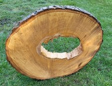 🌳 Baumscheibe von der "Linde" -- ø 49 x 42 cm - Stärke: 5,0 - 6,0 cm - 101