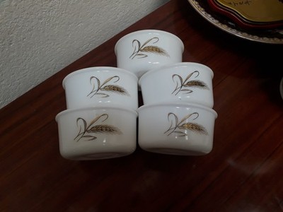 ARCOPAL 5 RAMEQUIN DEKOR WEIZENEPI Service Keramik Glas Teller Tasse Tisch