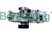 Wasserpumpe MotorküHlung Borsehung B11216 FüR BMW 1Er F40 X1 F48 X2 F39 U11 2Er