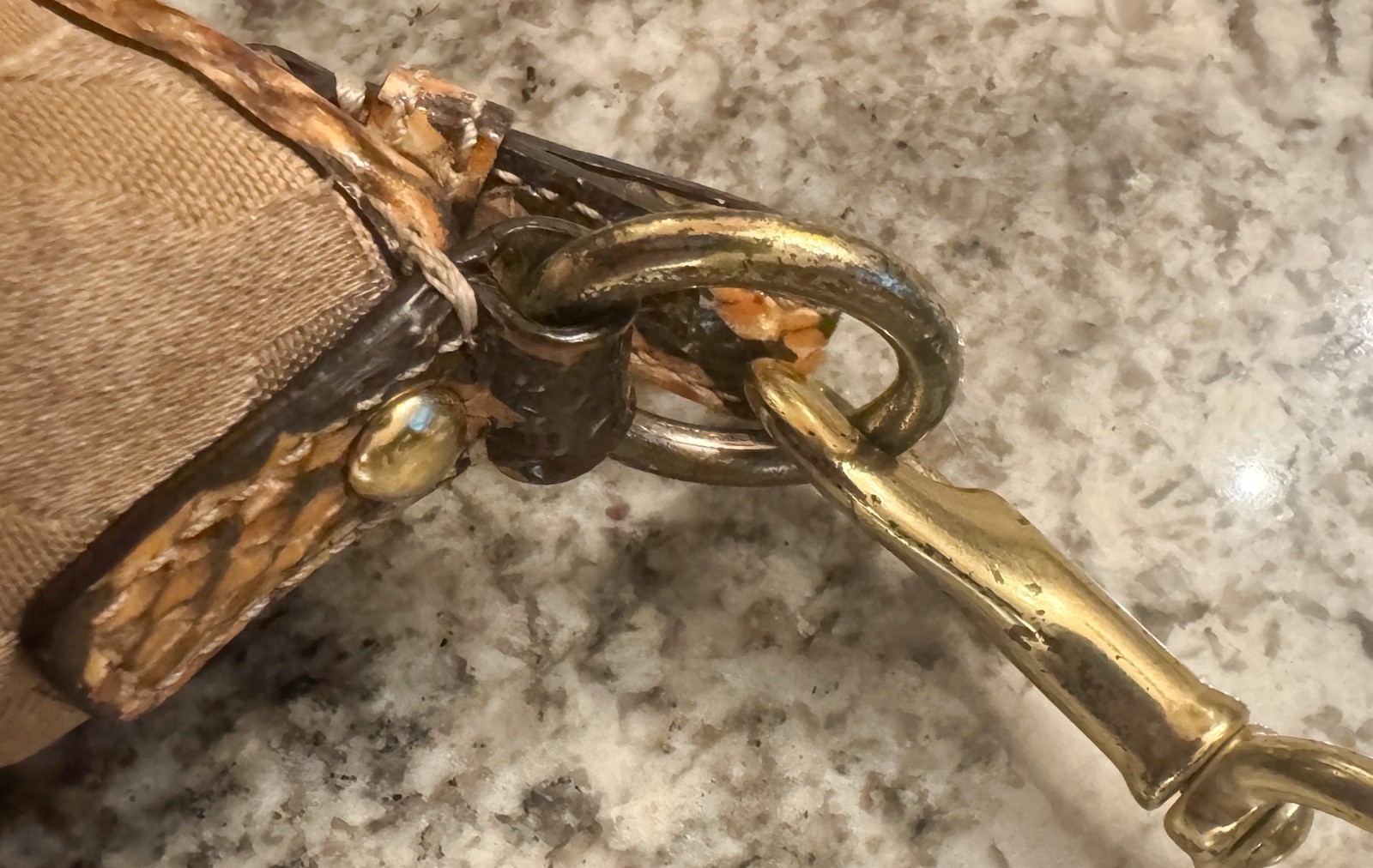 Coach Python Snakeskin Embossed Strap & Lined Mon… - image 9