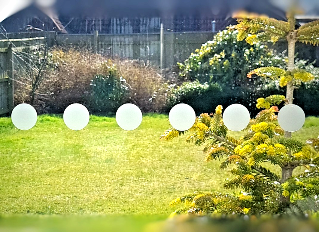 Window Safety Dots 50mm Frosted Effect Glass Manifestation 10 x 1m Strips