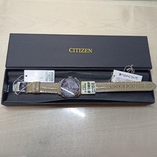 Citizen XC Radio Solar Eco Drive Men's Working