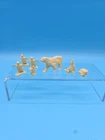 Marx Arctic Animals Vintage Cream Plastic Playset Lot of 7 Wolf, Polar Bear Look