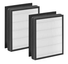 2x IAF-H-100A HEPA + Carbon Filter for FAP-C01-A, Idylis Air Purifiers #150096