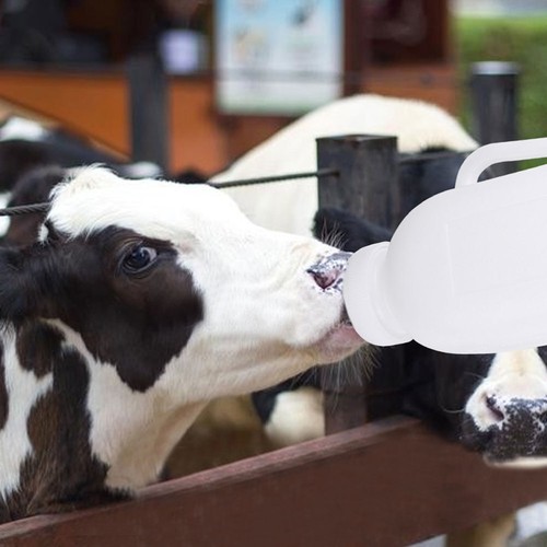 Futterautomaten Für Katzen Milchflasche Mit Pacifier Ziegen Krankenschwester - Bild 6 von 12