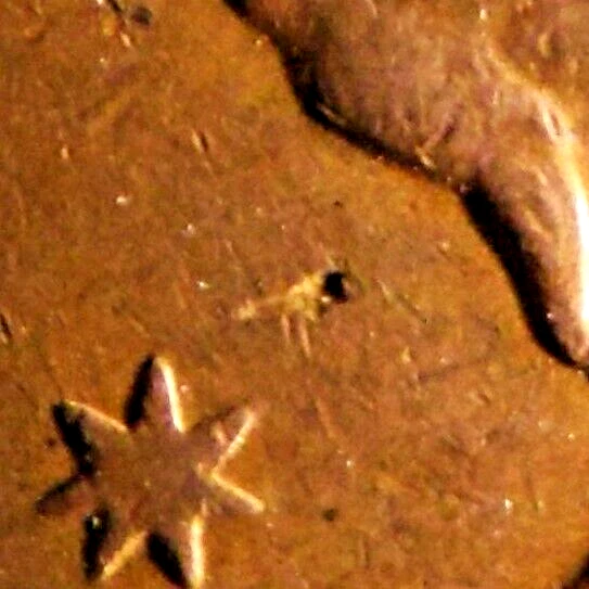 Picture 2 of 12