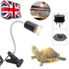 Reptile Heat Light Bulb