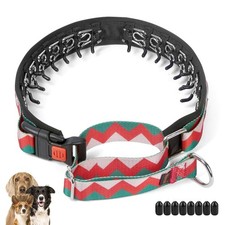 Mayerzon No Pull Dog Prong Collar Martingale, Personalized Pinch Collar with ...
