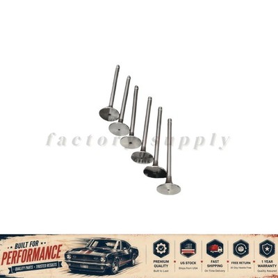 New 6pcs For Cummins Dodge Ram 5.9L 6.7L 98-19 24V DCEC Valves Intake