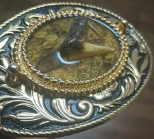 Snake Head Belt Buckle  Rare Taxidermy 