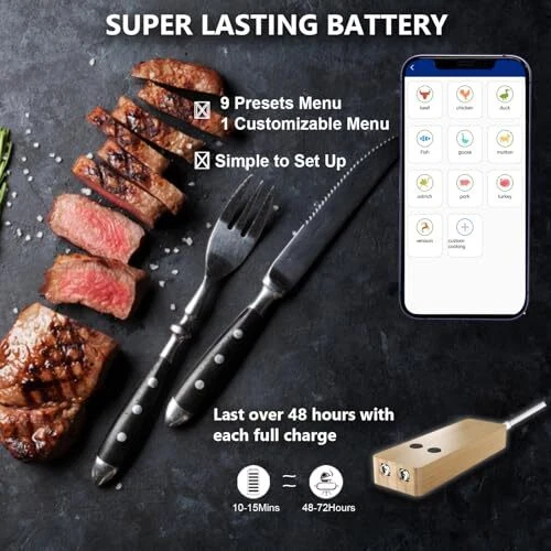 Bluetooth Meat Thermometer with 2 Ultra-Thin Probes, Smart Wireless Meat