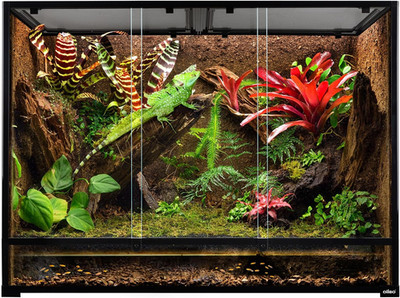135 Gallon Reptile Terrarium, 48'' X 18'' X 36'' Full Tempered Glass Vertical Repti
