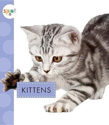 Kittens by Anastasia Suen (English) Paperback Book