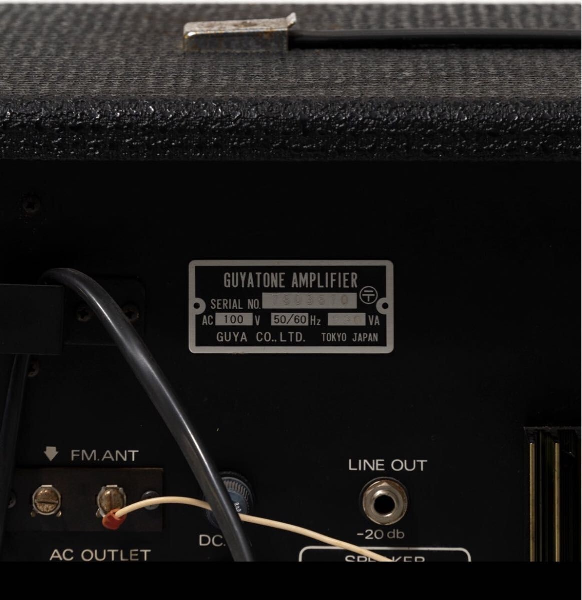 Guyatone ENSMBLE MG-100 エコーチェンバー Rare Guyatone ENSMBLE MG-100 Echo Chamber Japan Operation