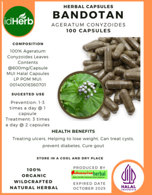 [idHerb] Herbal CAPSULES Ageratum conyzoides L. Bandotan Natural Organic Herb