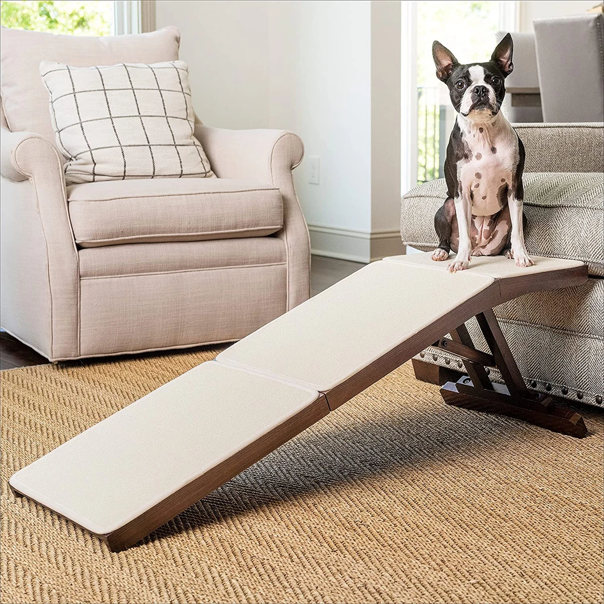 Petsafe dog shop ramp