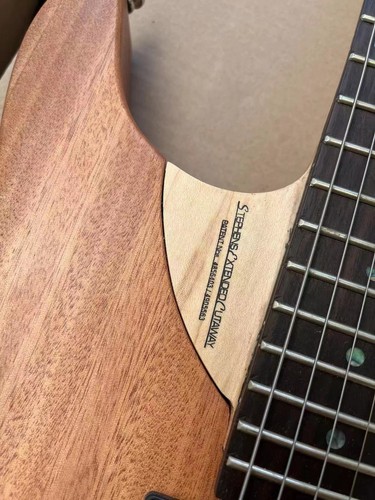 Guitarra Eléctrica N4 Nuno Bettencourt Pastilla Doble Hoja Abulón Incrustación de Puntos FR Bridge - Imagen 5 de 6