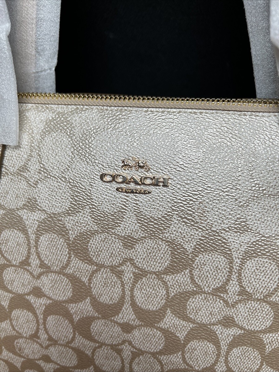 国内即発COACHフィオナメタリックシグネチャージップトートCW396 COACH Fiona Zip Tote Bag In Signature Canvas Gunmetal-Multi