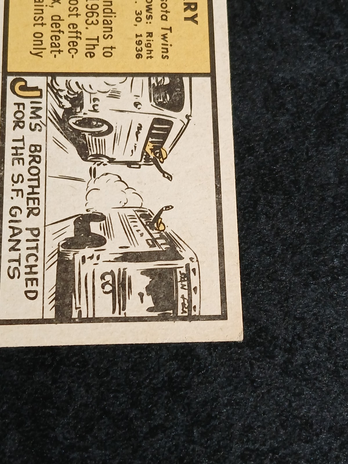 Foto 11 di 14