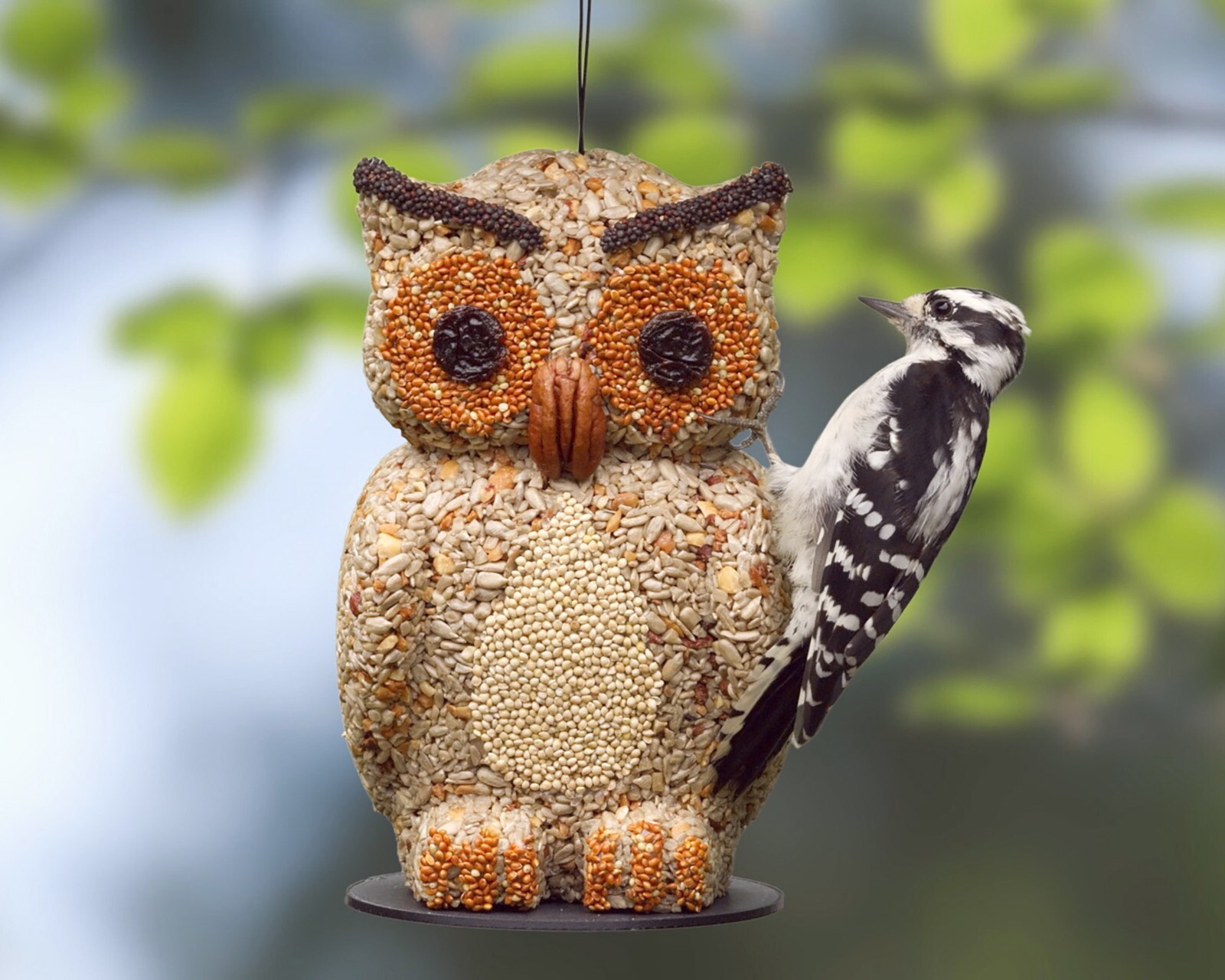 (ultimate Bird Lover Gift)