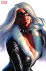 Spider-Man (2023) German #1 -42 + Lim. Variant’s John Romita Jr Amazing