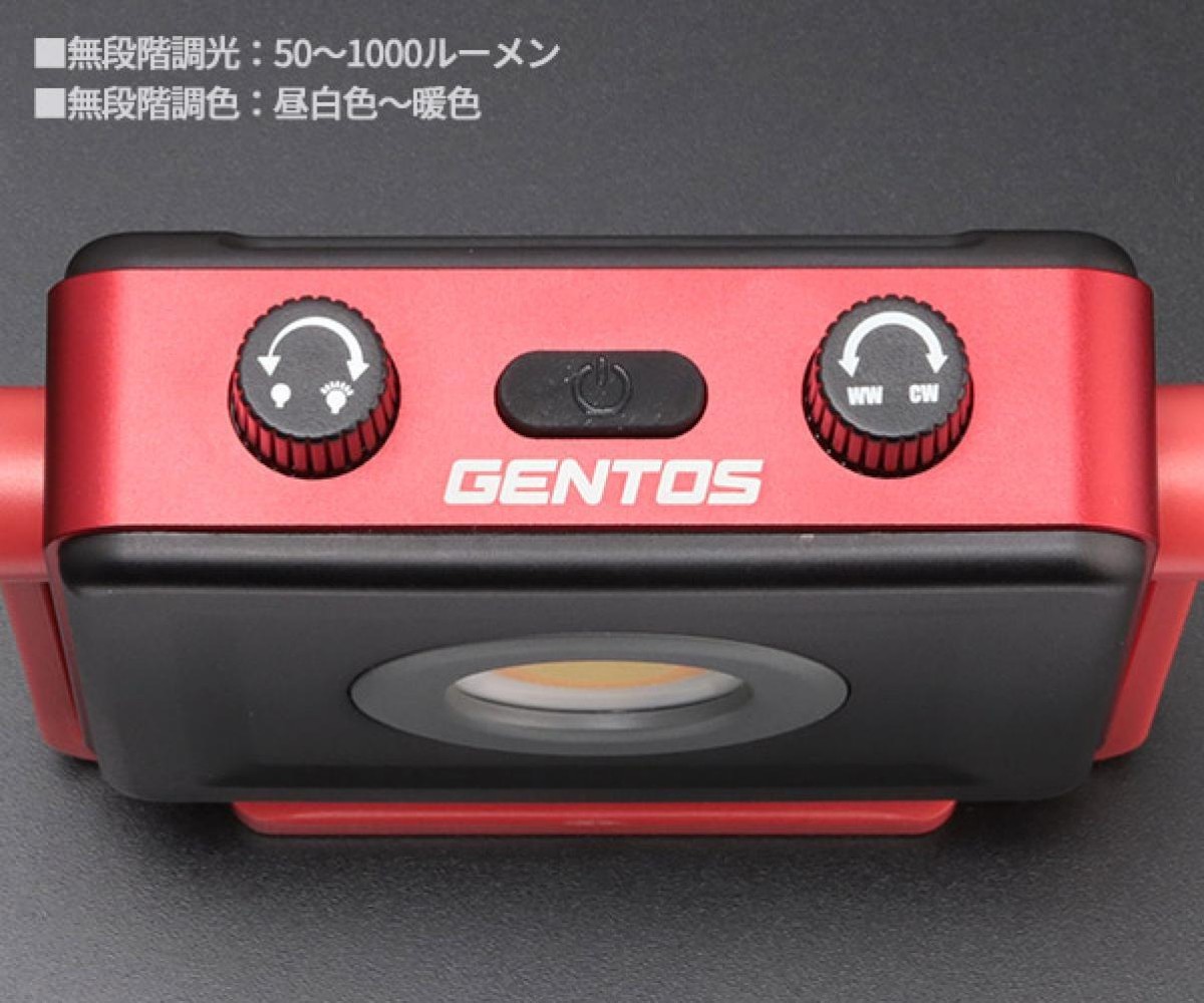 Gentos GZ-308 1000 Lumens Ganz Cob LED Light Work Light Floodlight