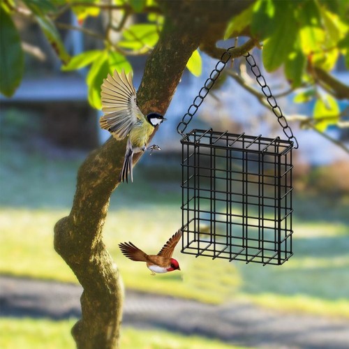 Square Birdcage Bird Feeder Wire Mesh FeederUK L8A1 - Picture 5 of 13