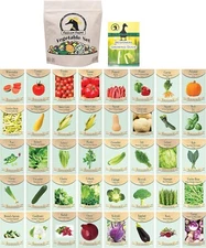 Set of 40 Assorted Vegetable Packets
